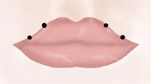 嘴唇