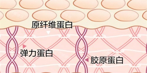 注射润蕾雅私密三型胶原蛋白亲身经历！结果、价格、痛感、维持时间超详细反馈！
