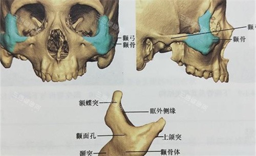 重庆朱乐林在哪个医院？坐诊在重庆松山整形医院！做轮廓手术出名、技术娴熟、口碑良好~
