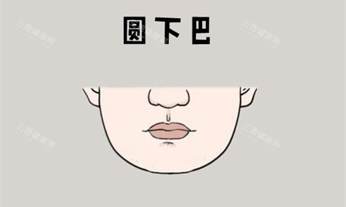 圆下巴展示图