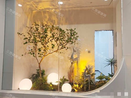 亳州小天使口腔（建安店）环境