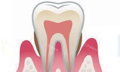 牙齿矫正器价格大公开！不同材质矫正器多少钱一个？附2025全新费用清单+省钱攻略！