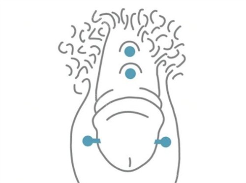 男性镶珠真人结果无滤镜展示！上下式VS环绕式，哪种更适合你？
