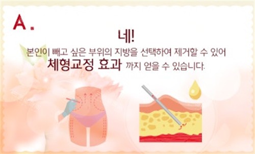 提取脂肪过程图解 提取脂肪过程图解