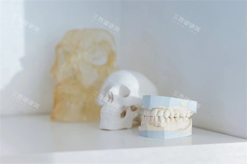 牙齿材料展示
