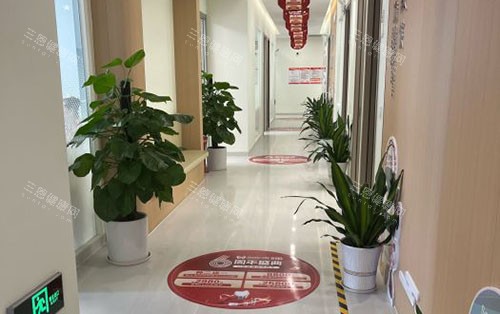 广州全明口腔走廊环境图