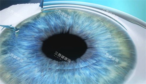1755161049229869.jpg