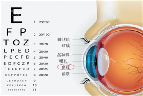深圳哪里可以做角膜交联手术？希玛林顺潮眼科/深西爱尔眼科/普瑞眼科该手术项目都很成熟！