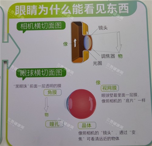 苏北医院眼科24小时询问电话0514-，医师坐诊时间、挂号攻略一键收藏！