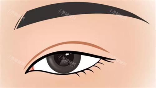 双眼皮形态展示 双眼皮形态展示
