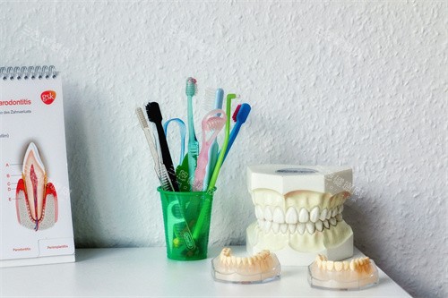 牙齿模型宣传展示