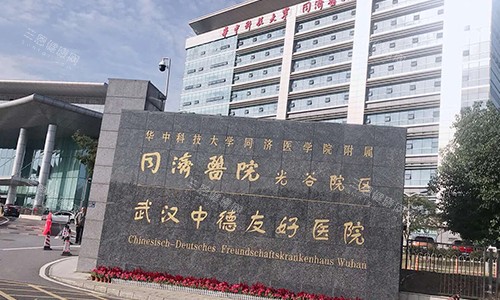 武汉同济医学院医院门头图