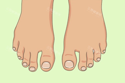 脚趾类型图
