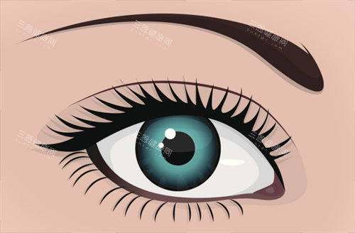双眼皮形态 双眼皮形态