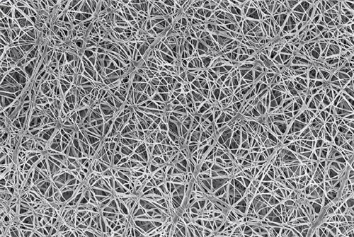 隆鼻手术膨体材料内部构造