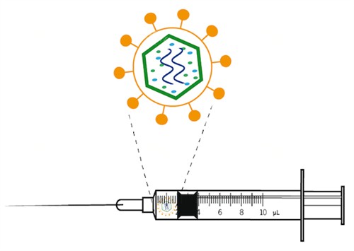 拒绝注射的不明注射物 拒绝注射的不明注射物