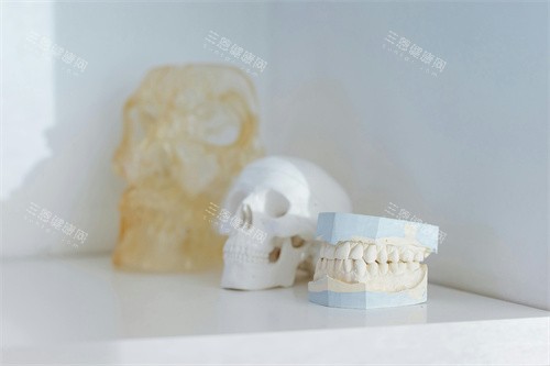 医用牙齿模型宣传图 医用牙齿模型宣传图