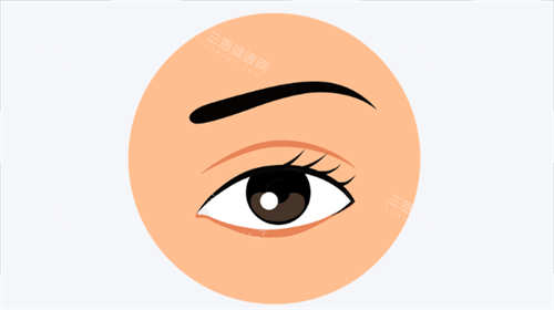 单眼皮展示 单眼皮展示