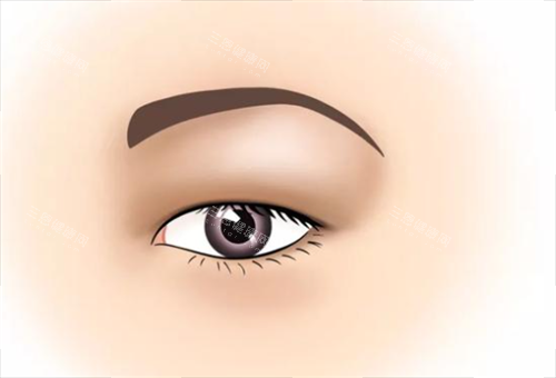 单眼皮 单眼皮