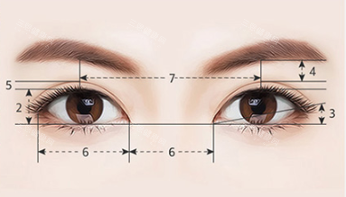 眼睛美学标准 眼睛美学标准