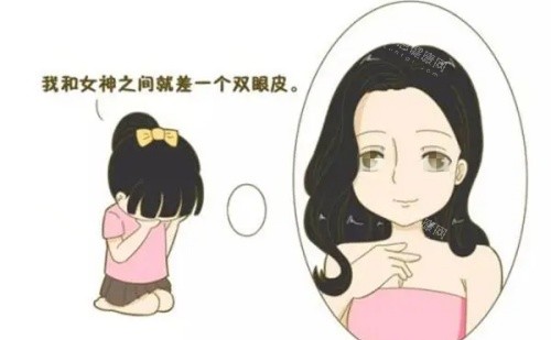 双眼皮**示意图
