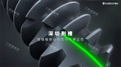 泰山种植牙种植体特色 泰山种植牙种植体特色