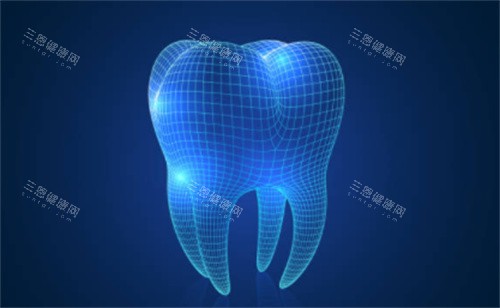 牙齿建模模型图