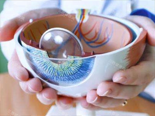 割眼角膜手术模型展示