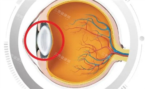 郴州市第一人民医院眼科怎么预约，简单步骤教您约，省心看眼科很方便！