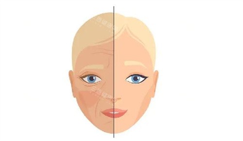 河北省保定252医院美容科电话是多少？预约流程和项目介绍全在这！