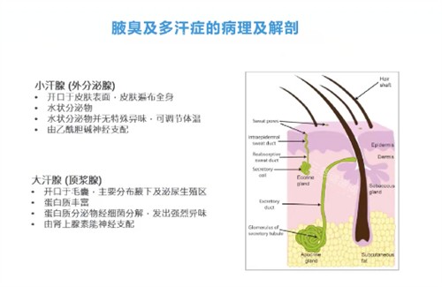 淄博哪家医院做清新微波治疗狐臭结果好？美途时光探境医疗美容中心值得推荐！