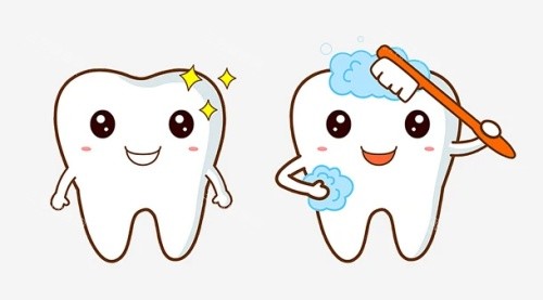 牙齿美白清洁示意图 牙齿美白清洁示意图