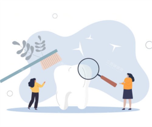 牙齿清洁示意图