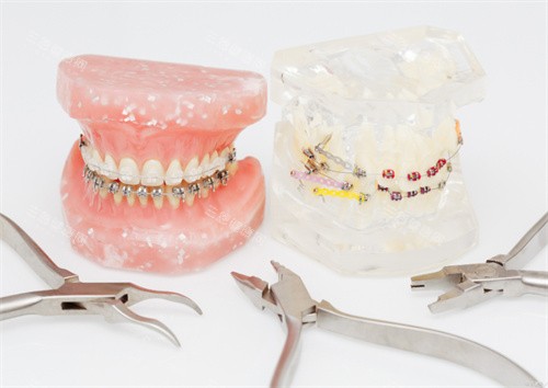 牙齿模型图片展示图 牙齿模型图片展示图