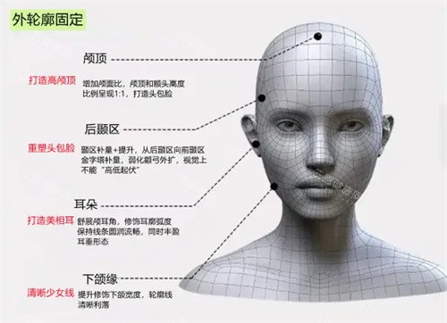 外轮廓固定 外轮廓固定