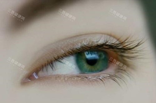 眼睛
