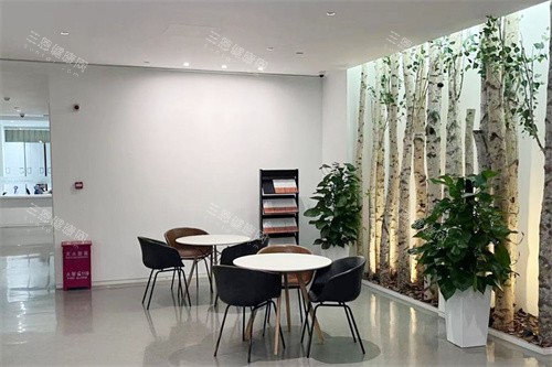 北京极简口腔内部环境 北京极简口腔内部环境