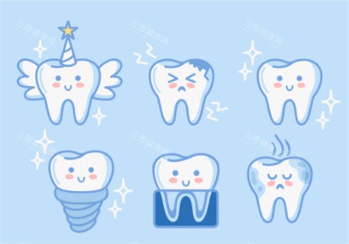 牙齿的各个形态图 牙齿的各个形态图