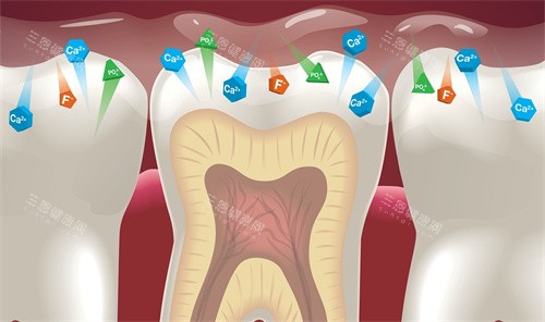 牙齿牙釉质防蛀作用 牙齿牙釉质防蛀作用