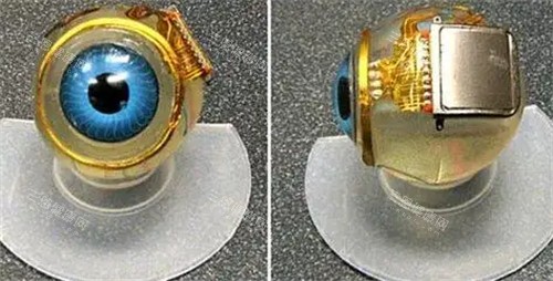 仿生眼球图解 仿生眼球图解