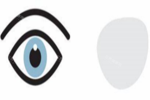 遮盖眼睛示意图 遮盖眼睛示意图