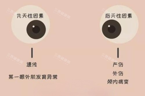 温州医科大学附属眼视光医院预约流程：多平台同步放号，复诊预约更便捷