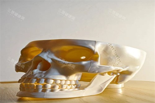 牙齿材料宣传 牙齿材料宣传