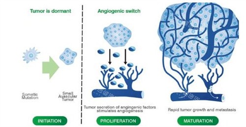 黎星医生取生长因子靠谱吗？资质/病例/口碑三维验证，整友亲测反馈