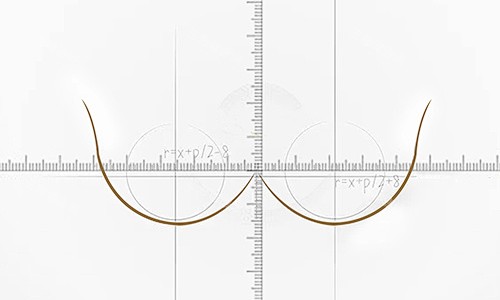 胸部比例抛物线展示 胸部比例抛物线展示