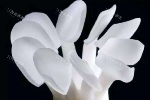 牙齿贴片模型图