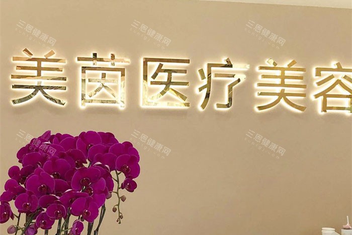 成都美茵医疗美容logo墙