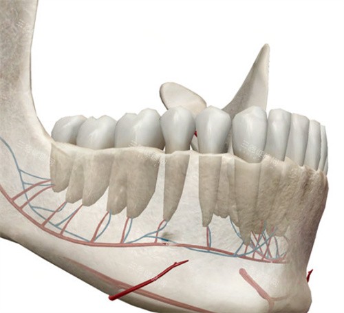 北京下巴后缩矫正哪家医院好？联合丽格何照华|圣嘉新张笑天正颌个性化设计不撞脸