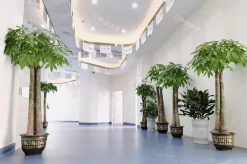 岳阳平江致远口腔内部环境