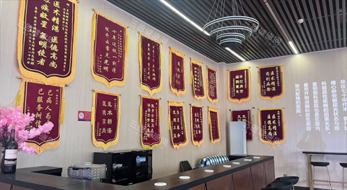 石家庄复明眼科医院锦旗